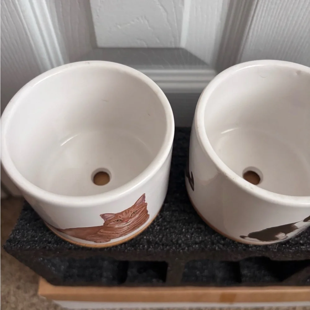 Mini Cat Planters | Set of 3 | NEW